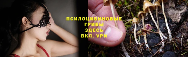 ECSTASY Белоозёрский