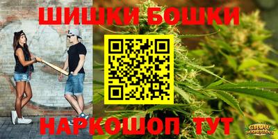 МДПВ Гусев