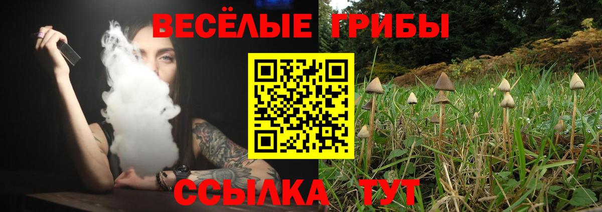 Псилоцибиновые грибы MAGIC MUSHROOMS Наро-Фоминск