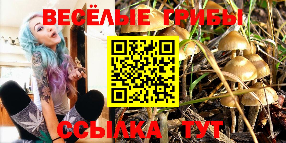Псилоцибиновые грибы Psilocybine cubensis  что такое   Наро-Фоминск  Вход с VPN  Галлюциногенные грибы Cubensis 